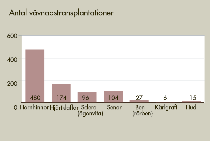 Diagram-vavnad-Antal-mottagare-av-vavnader-2020.png
